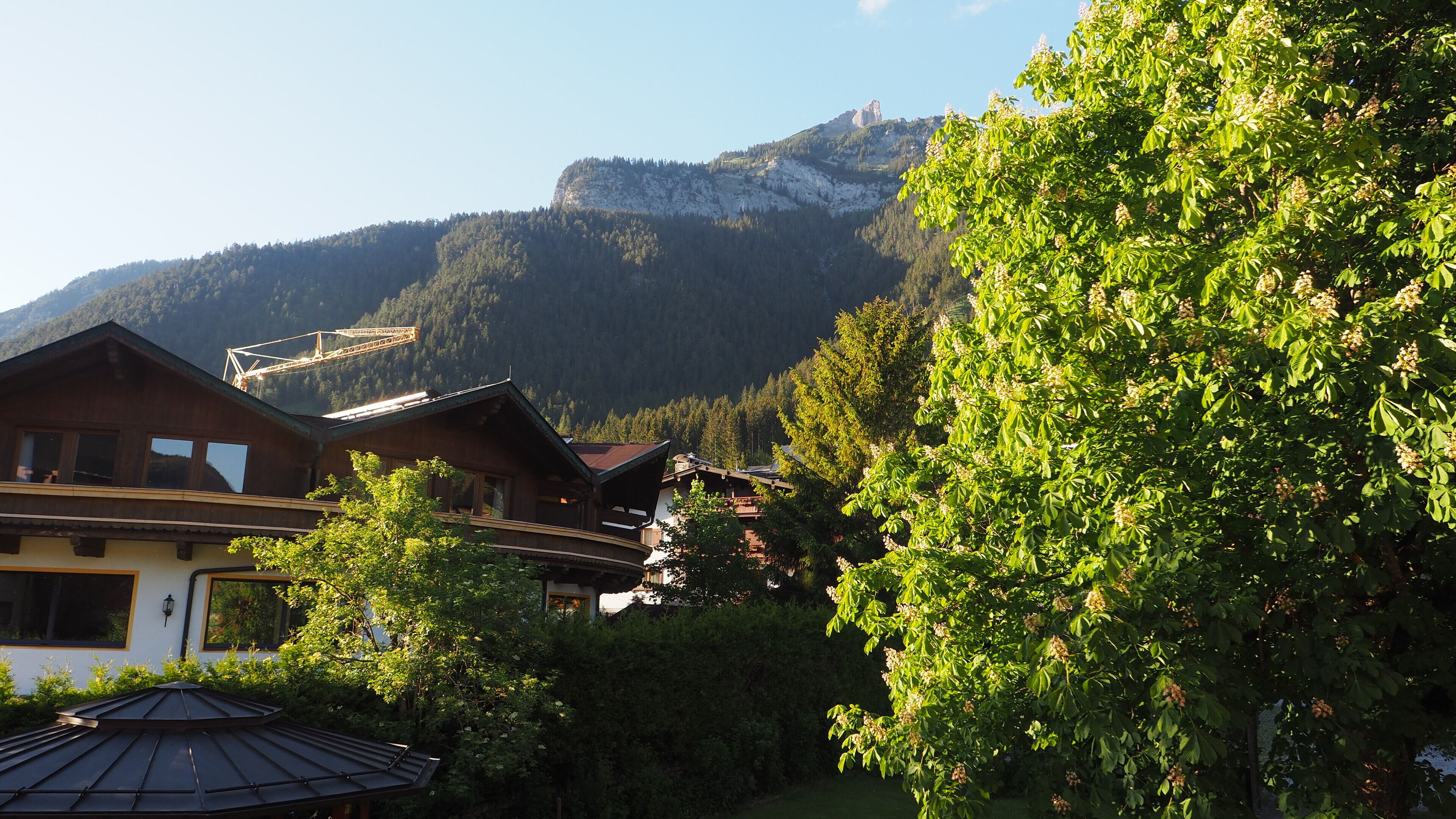 standard double room | mountain view