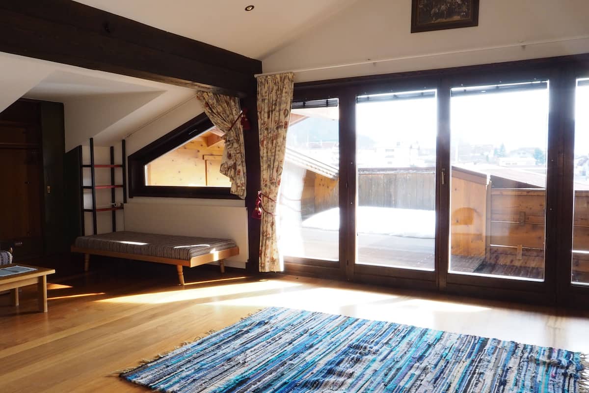 apartment (large) | living area | flat-screen tv