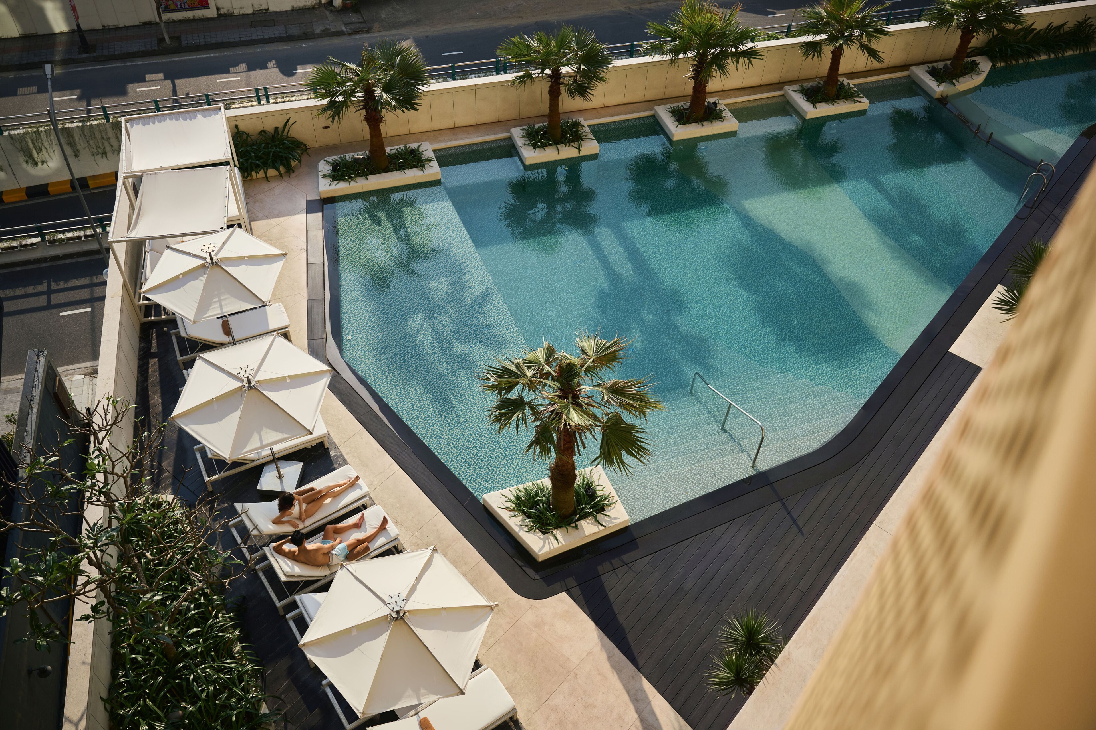 A rooftop pool with sun loungers and palm trees.