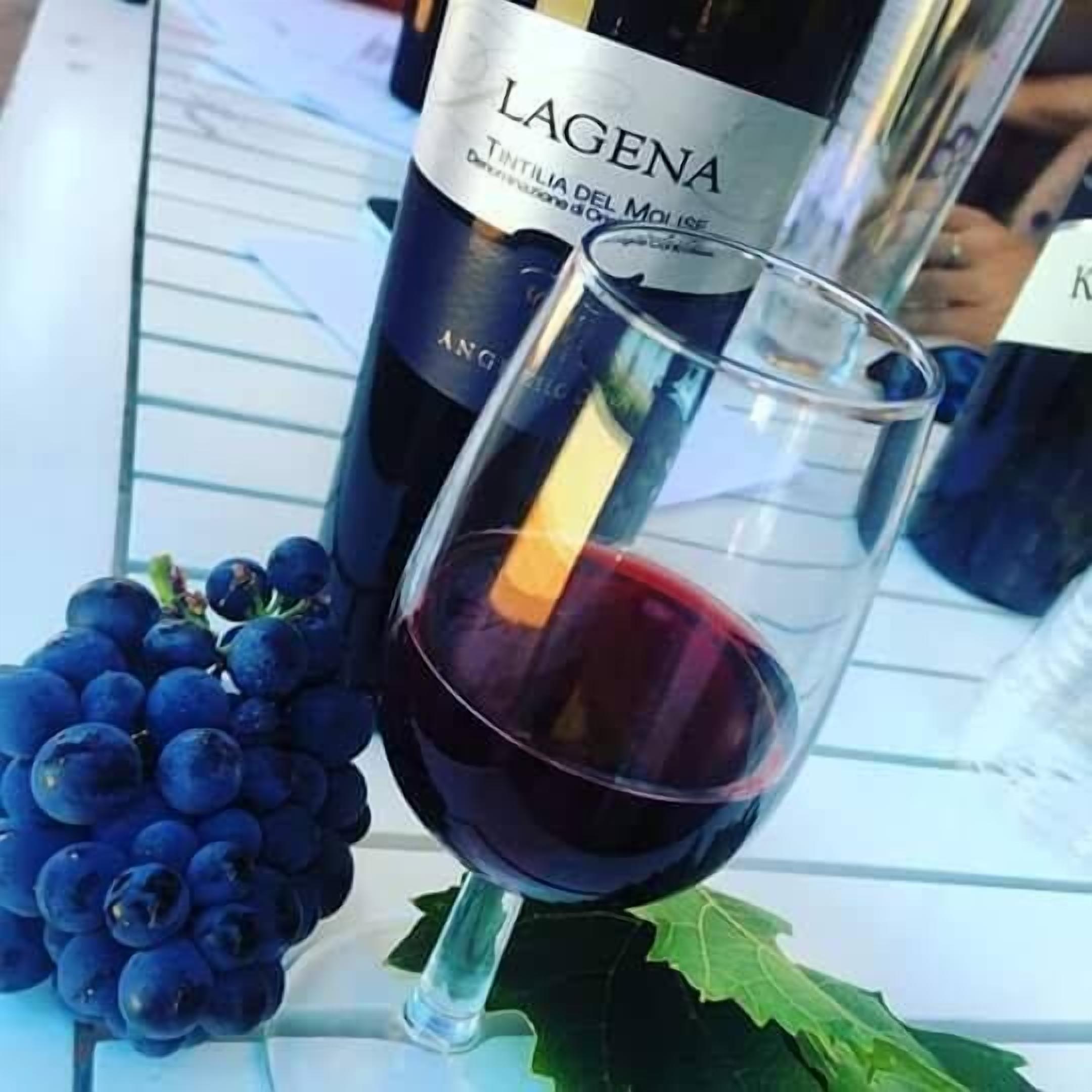 A wine bottle labeled "LAGENA" and a glass of red wine with a bunch of grapes and a leaf beside it.