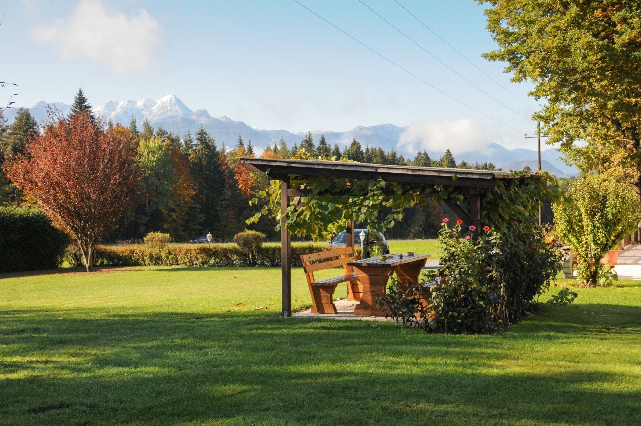 Blick auf den Garten
