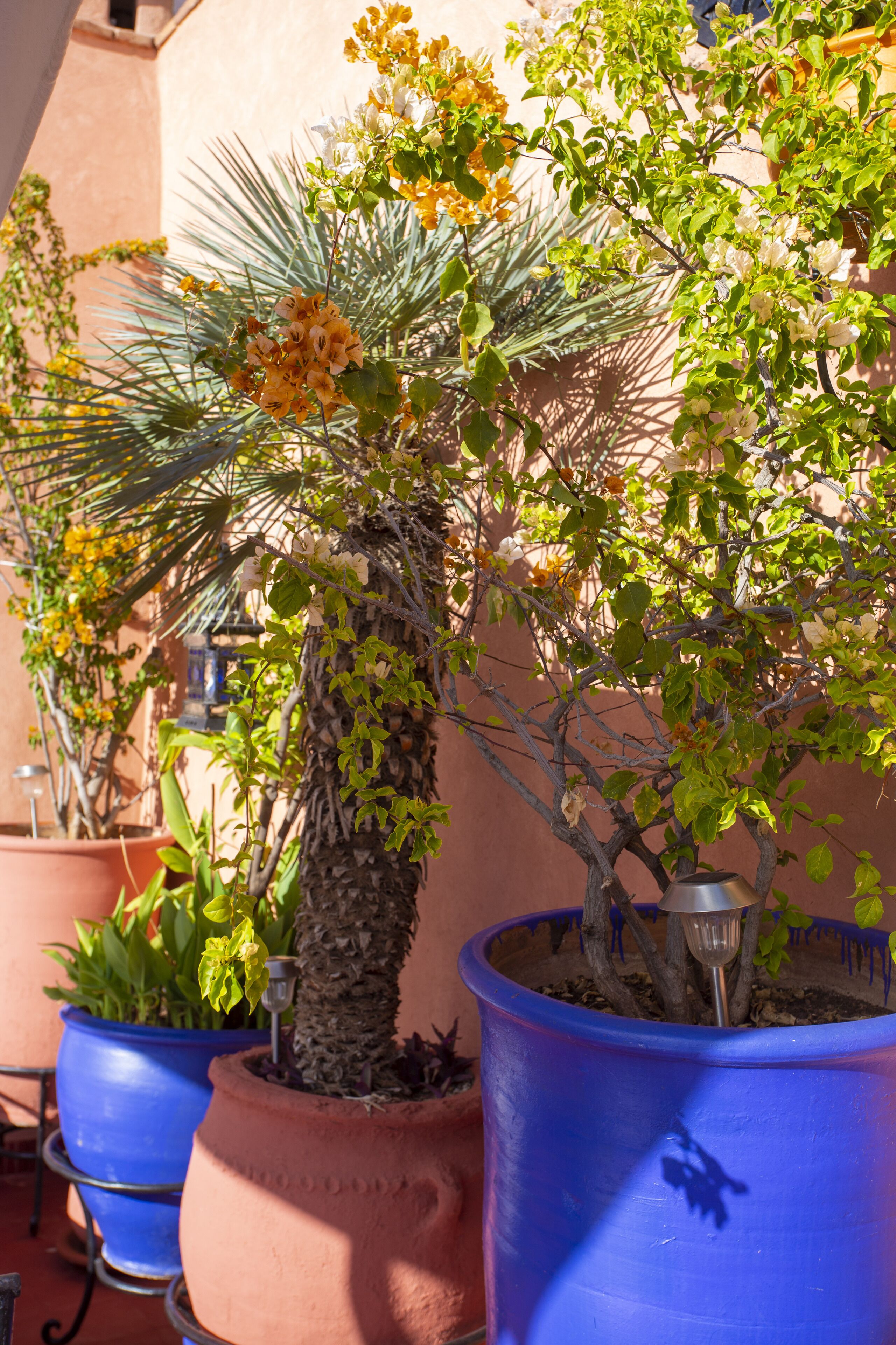 Foto - Riad Christina