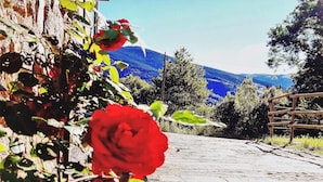 A cobblestone path leading to a rustic wooden fence with a red rose in full bloom. - Can Gasparó Hotel Rural & Restaurant (Planoles)