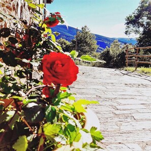 Property grounds - Can Gasparó Hotel Rural & Restaurant (Planoles)