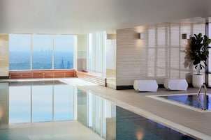 A modern indoor swimming pool with a city view, a wooden bench, and a potted plant.