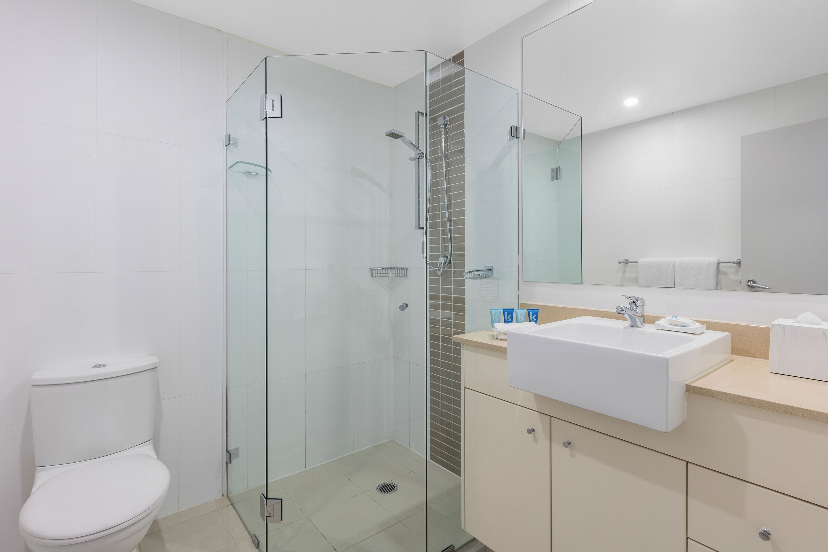 Un baño moderno con ducha envuelta en vidrio, un lavabo blanco y un inodoro.