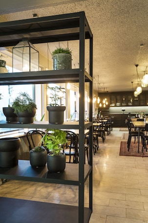 Se sirven desayunos y cenas, cocina local