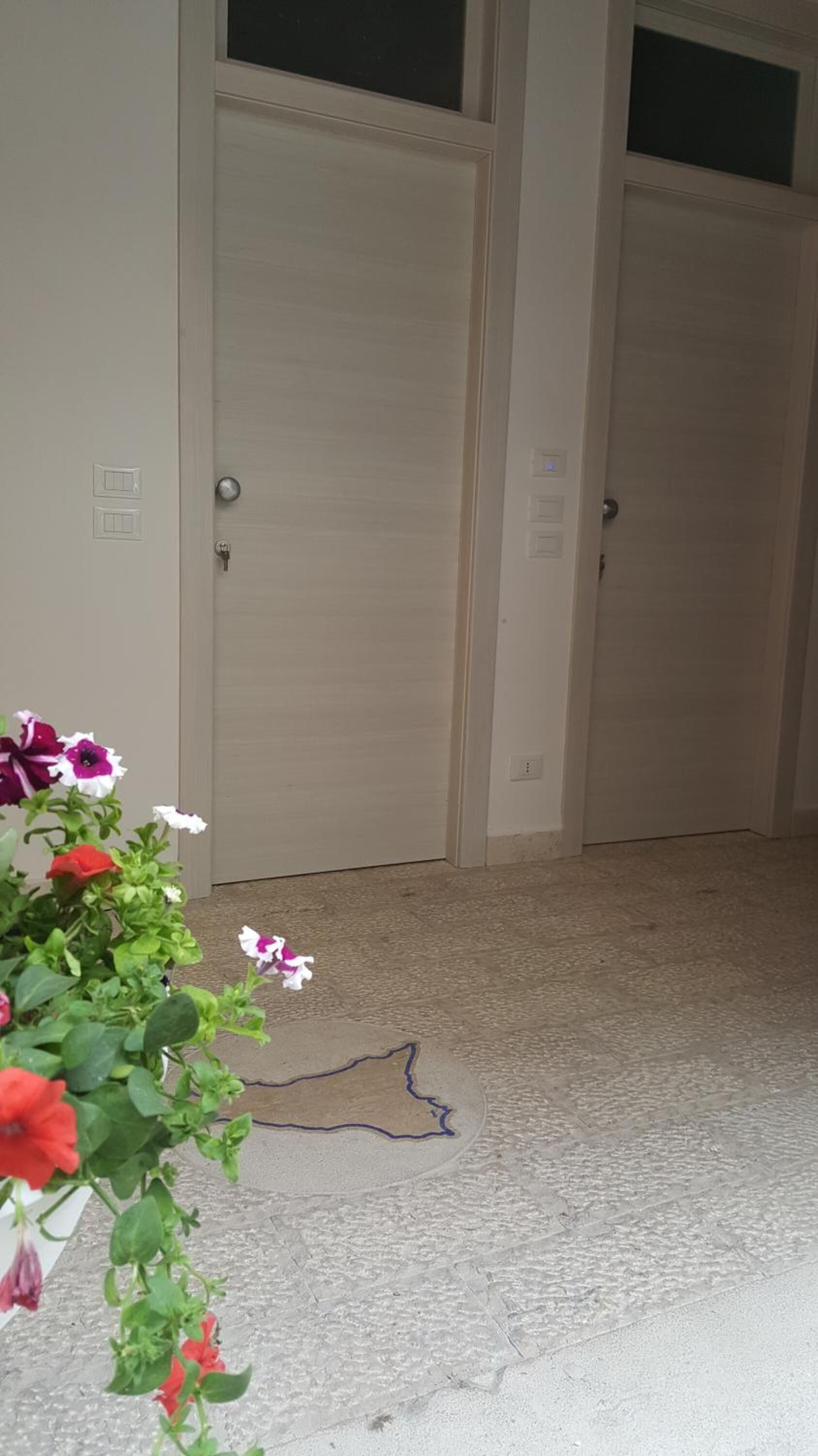 A room with two closed doors, a carpeted floor, and a plant with red and white flowers.