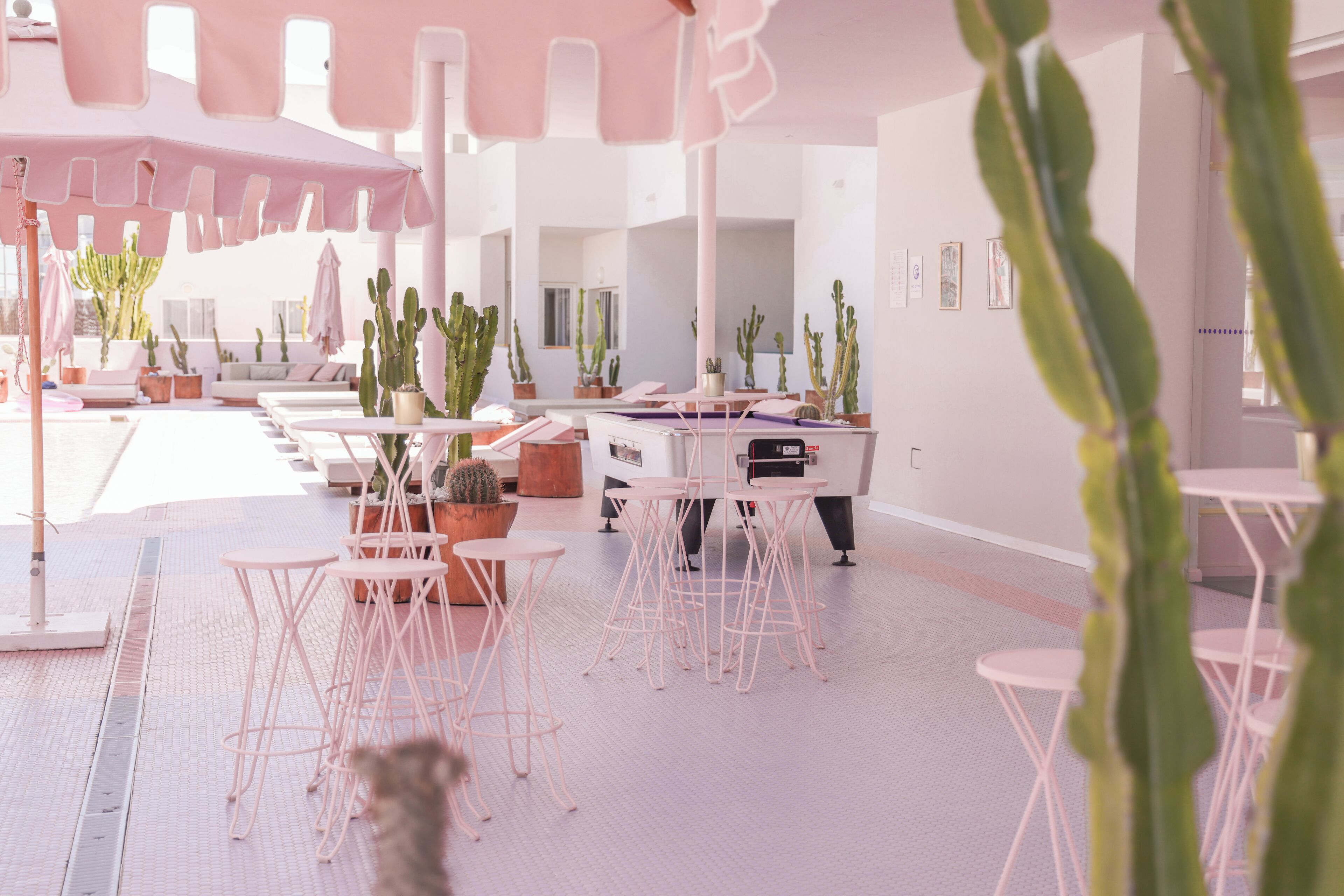 Un intérieur moderne avec des murs blancs, de nombreux espaces de détente et des plantes en pot.