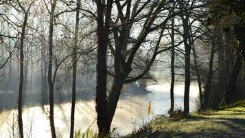 Una foresta con alberi alti e uno specchio d'acqua che riflette la luce del sole.