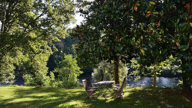 Un espacio tranquilo al aire libre con una mesa y sillas bajo un árbol, con vista a un lago sereno.