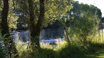 Un río rodeado de vegetación exuberante y árboles.