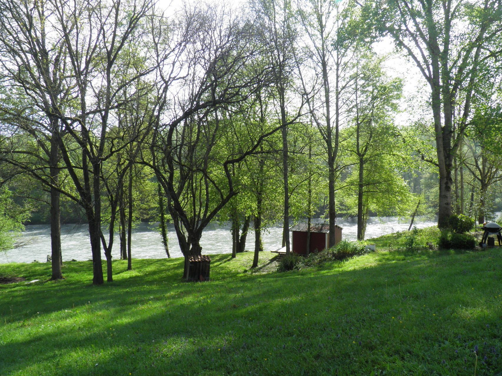 A riverside park with trees, a wooden dock, and a small shed.