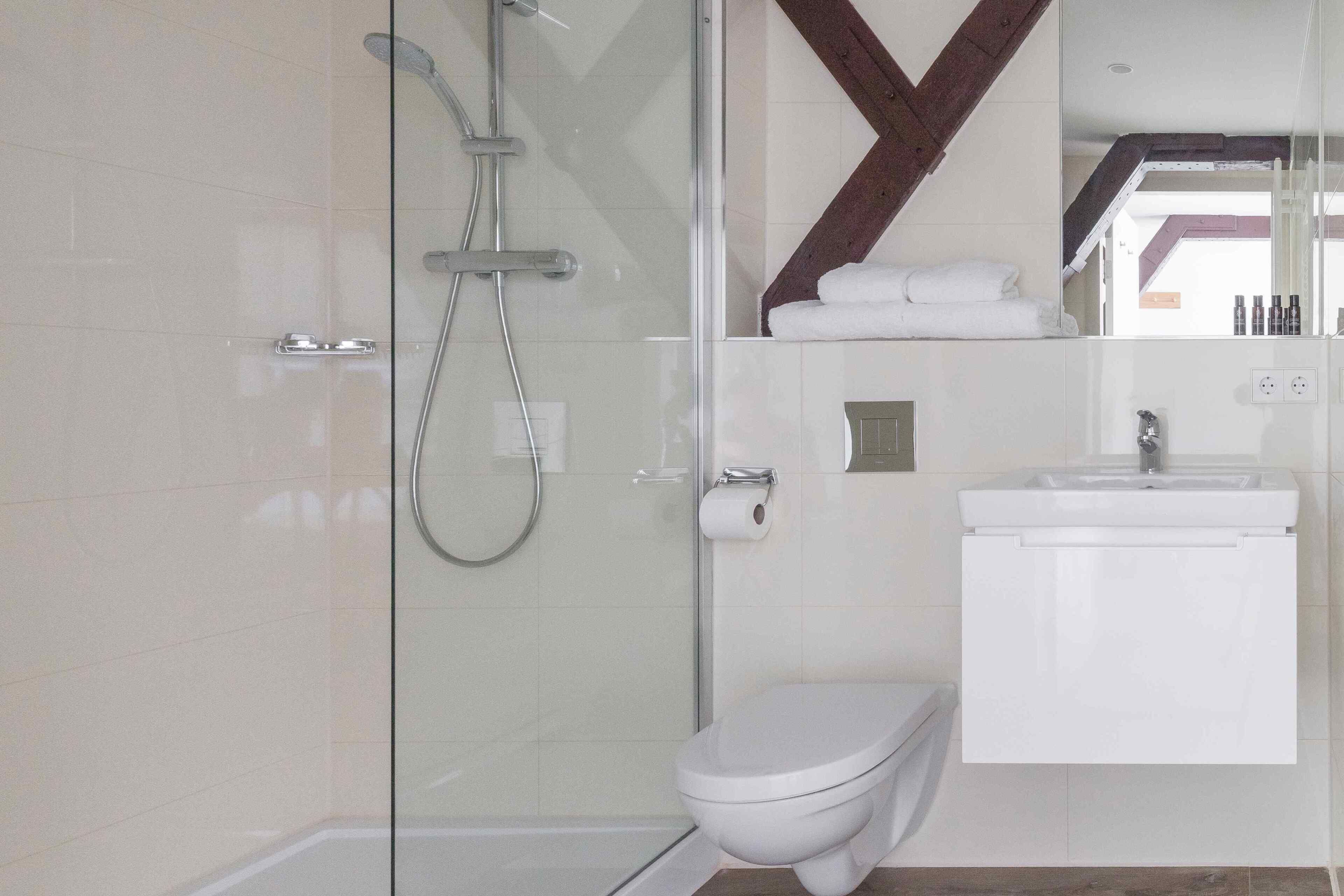 A modern bathroom with a glass shower enclosure, a white toilet, and a sink with a mirror above it.