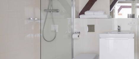 A modern bathroom with a glass shower enclosure, a white toilet, and a sink with a mirror above it.