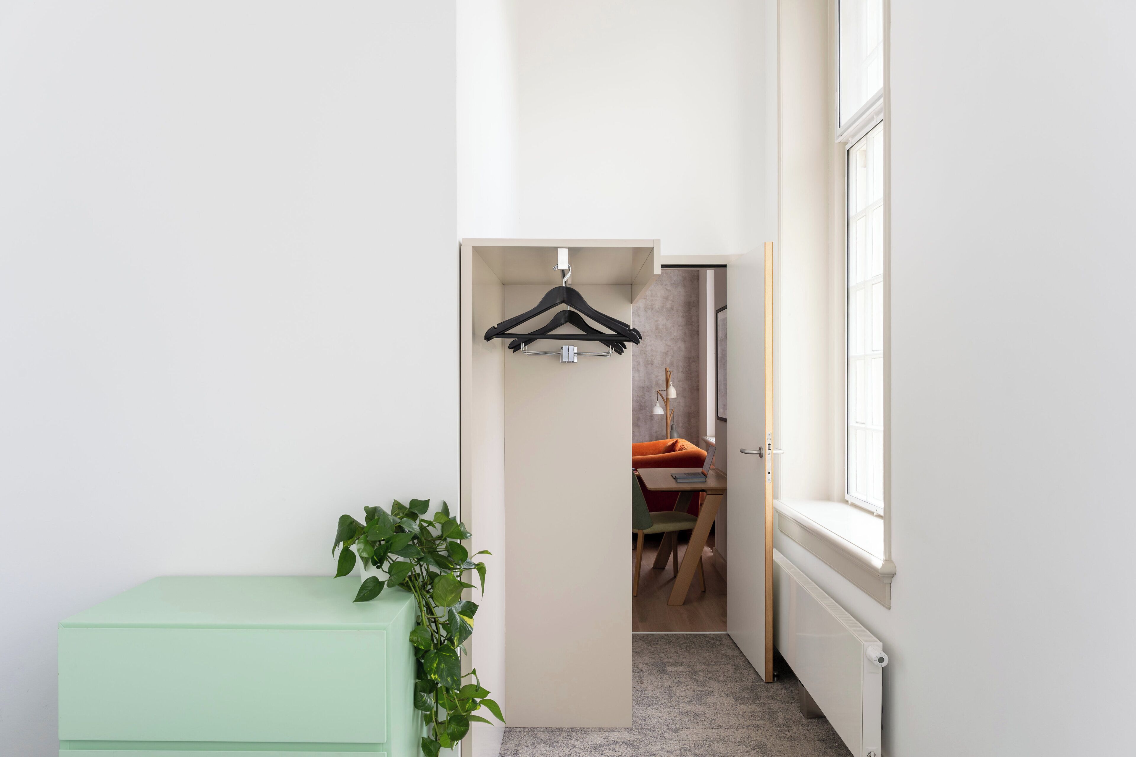 A narrow hallway with a green cabinet, a hanging black hanger, and a plant.