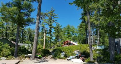 Suloinen mökki asetettu keskuudessa mäntyjä hiekkaranta puolen kilometrin päässä kaupungin.