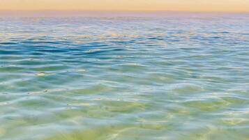 En la playa y camastros