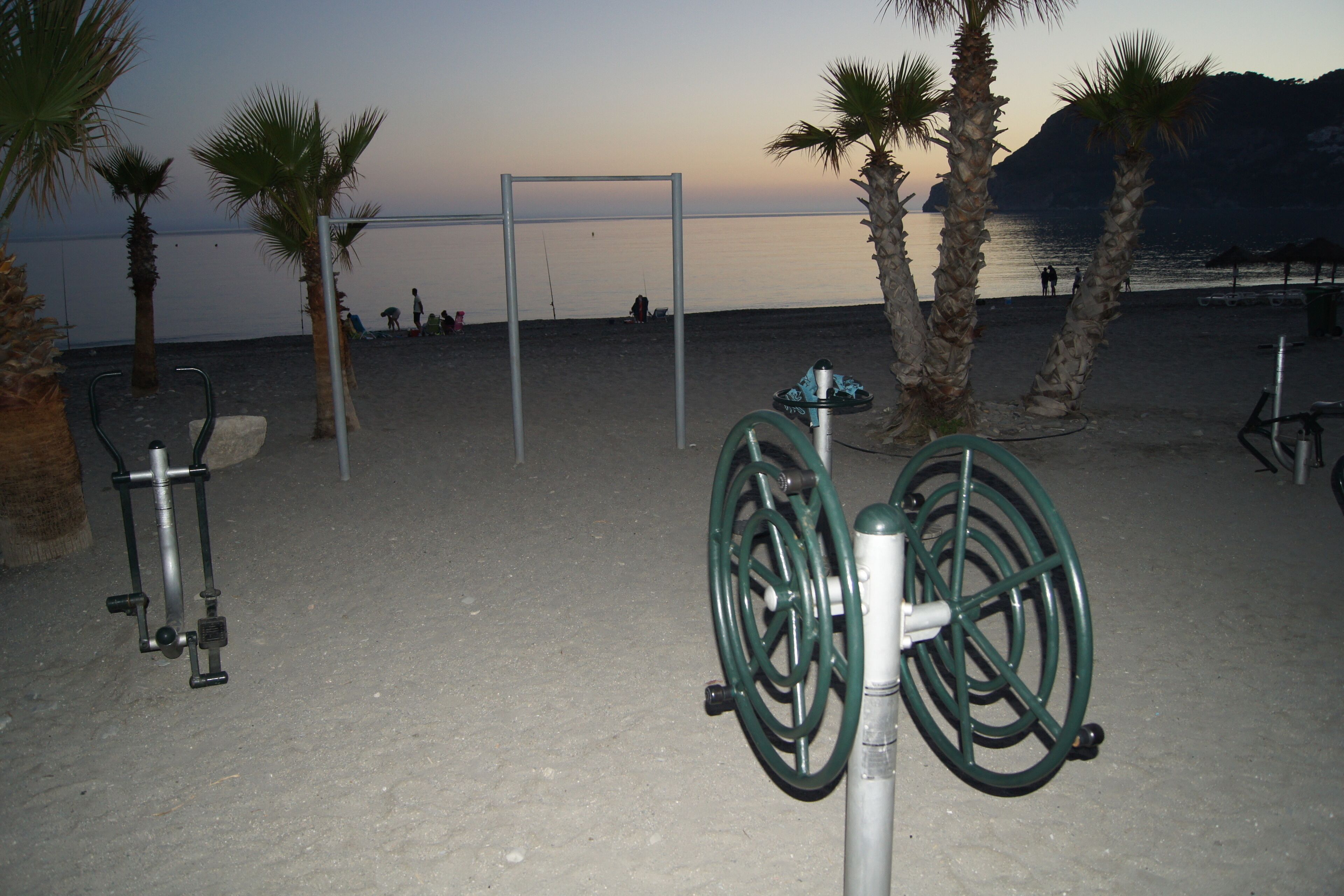 Une plage équipée d’installations de remise en forme, bordée de palmiers et offrant une vue dégagée sur la mer.