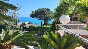 A coastal view with a large tree, a white spherical structure, and a clear blue sky.