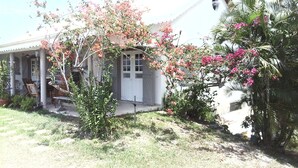 A house with a porch, a small garden, and a palm tree.