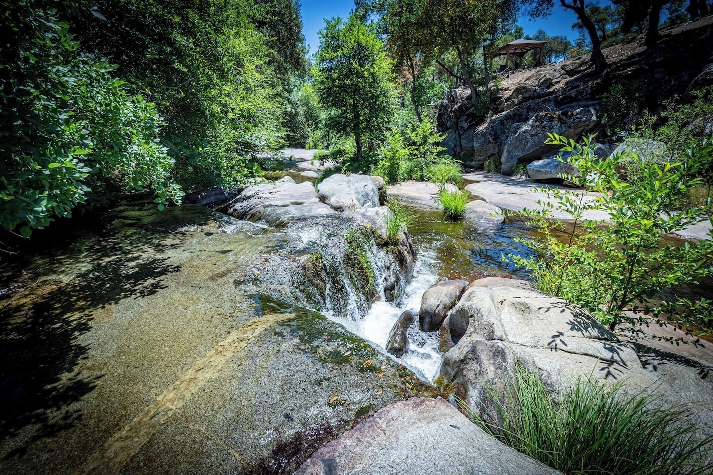 Entorno natural al aire libre con una pequeña cascada, rodeado de rocas y follaje.