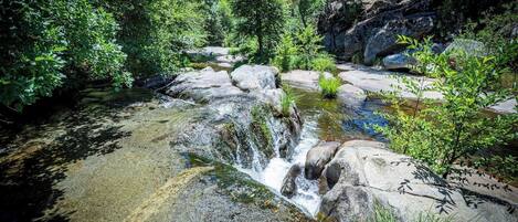 Entorno natural al aire libre con una pequeña cascada, rodeado de rocas y follaje.
