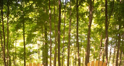 Yourte Clean Yourte, niché en privé dans les bois et les jardins