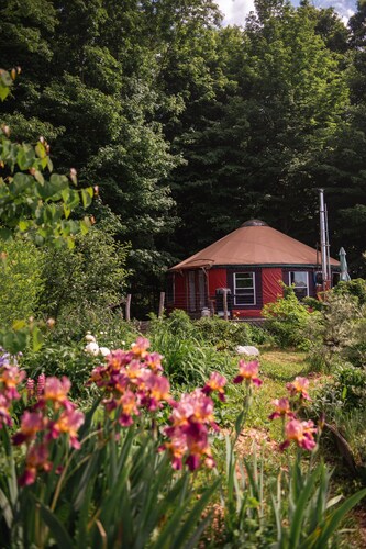 Secluded, Clean Yurt, Retreat on a Forest Farm