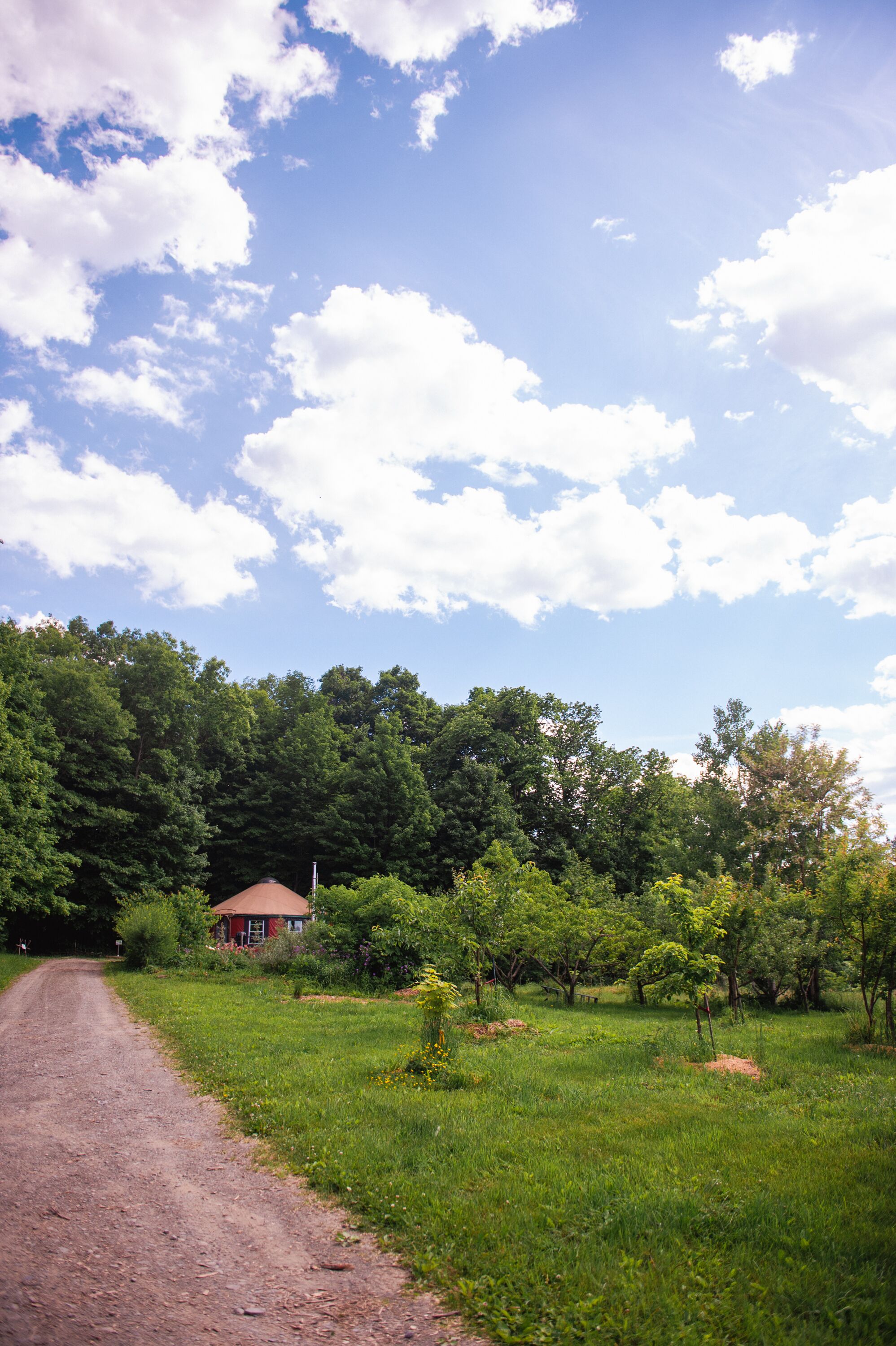Une route de campagne mène à une maison rouge, entourée d’une végétation luxuriante et d’arbres.