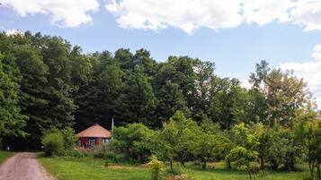 Une route de campagne mène à une maison rouge, entourée d’une végétation luxuriante et d’arbres.