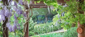 Et fantastisk landsted i hjertet av Chianti