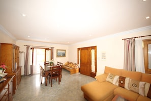 Smart TV, chimenea y libros 