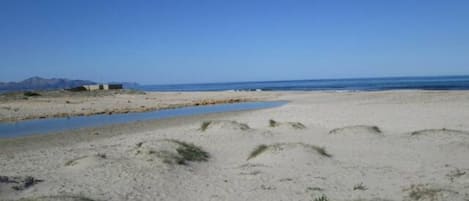 On the beach, sun-loungers