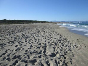 En la playa y camastros 