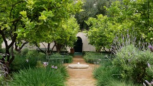 Un sentier de jardin avec une fontaine, entouré d’une végétation luxuriante et de plantes de lavande.