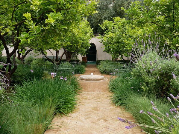 A garden pathway with a fountain, surrounded by lush greenery and lavender plants. - Dar Chadia (Marrakech)