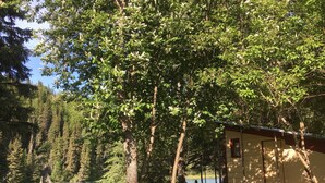 Eine Hütte an einem See, umgeben von dichtem Wald.