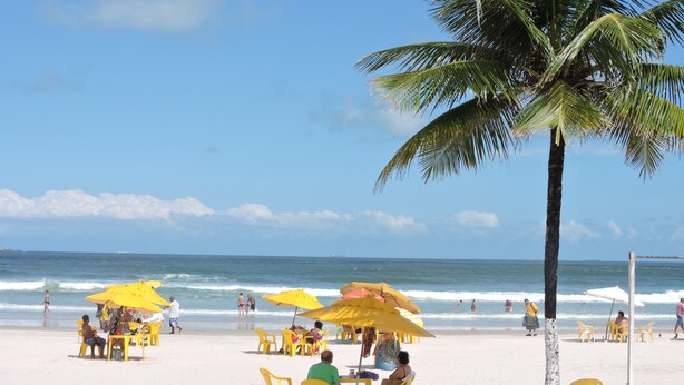 A beach with yellow umbrellas and chairs, palm trees, and the ocean. - Apartamentos Adriático Guarujá (Guarujá)