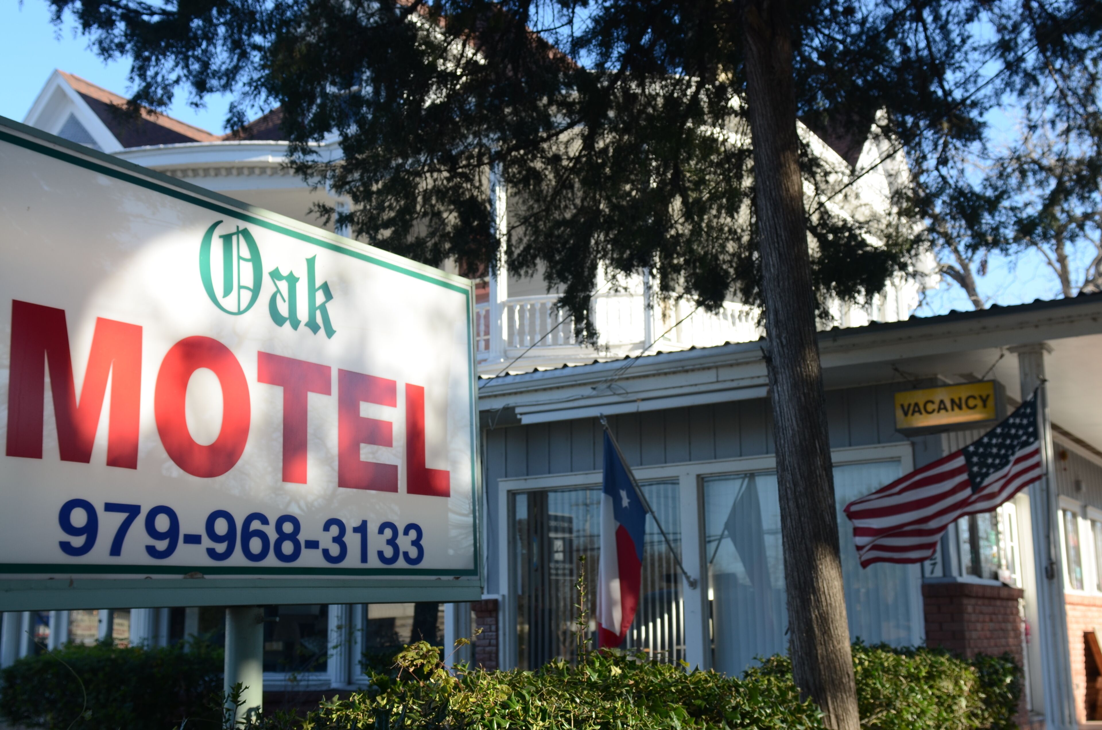 Segnaletica di motel con la scritta 'Oak Motel' e un numero di telefono.