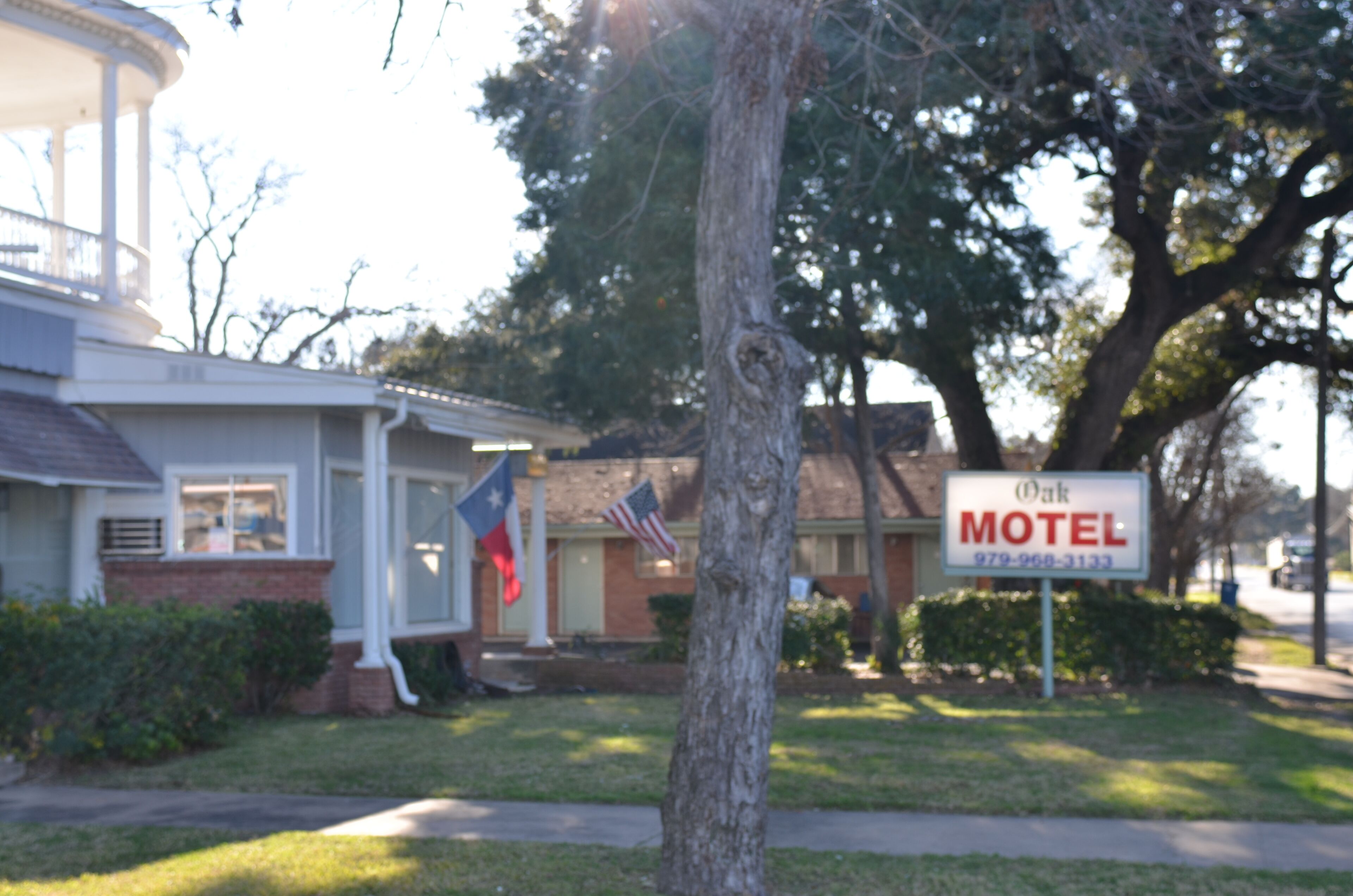 A motel with a signboard, a flag, and a tree in the foreground.