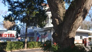 Un motel con un grande albero sullo sfondo, una insegna e due bandiere.