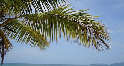 Apartamento Astúrias Ubatuba