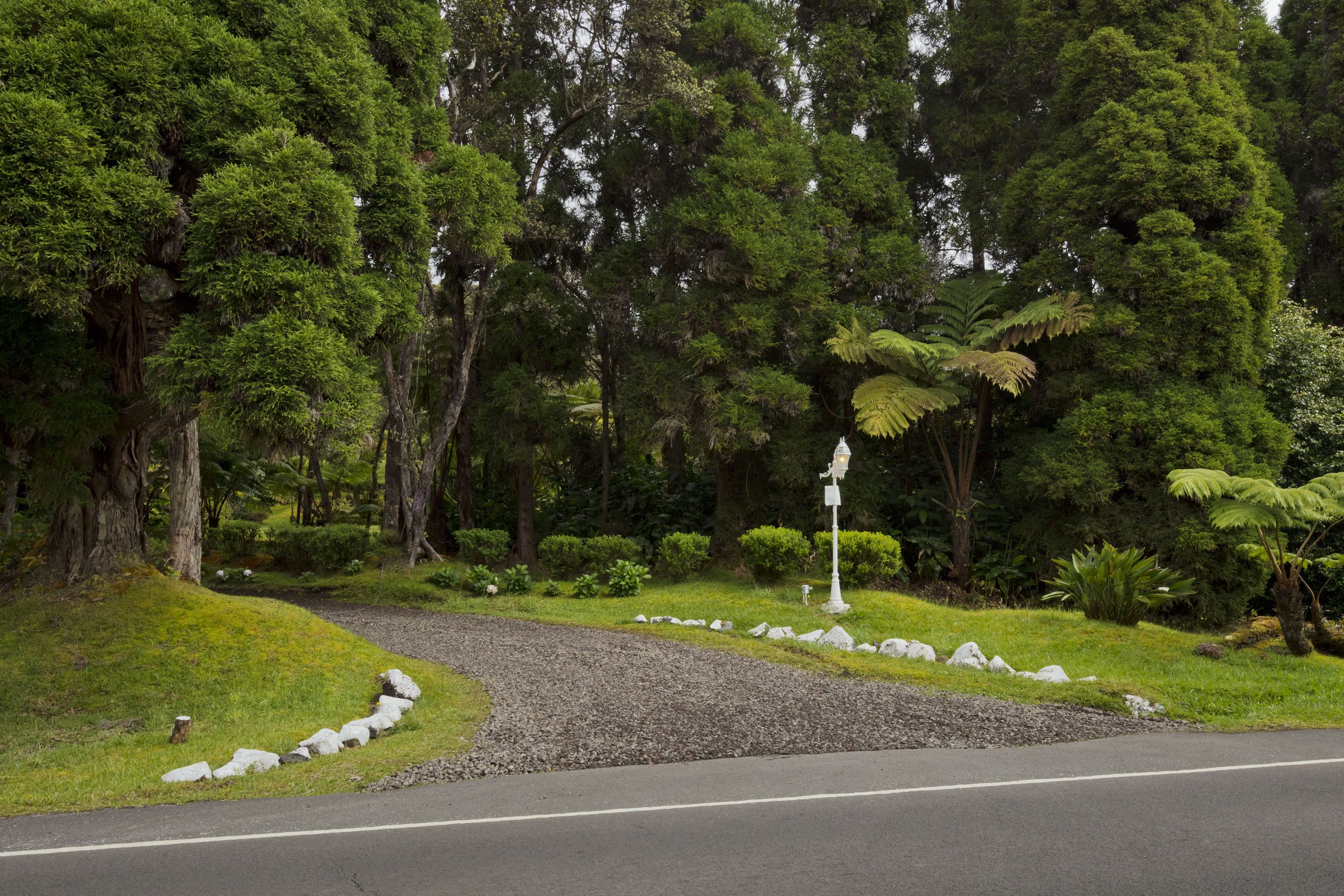 A road curving through a lush, green landscape with dense trees and a small white signpost.