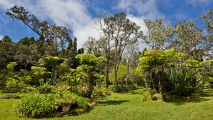 Un jardín exuberante con diversas plantas y árboles.