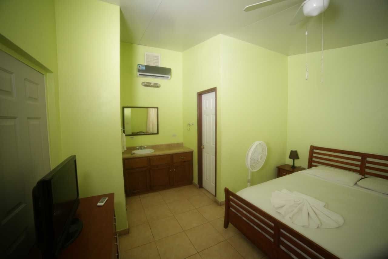 A room with a bed, a TV, a fan, a sink, and a mirror.