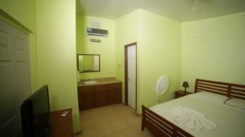 A room with a bed, a TV, a fan, a sink, and a mirror.