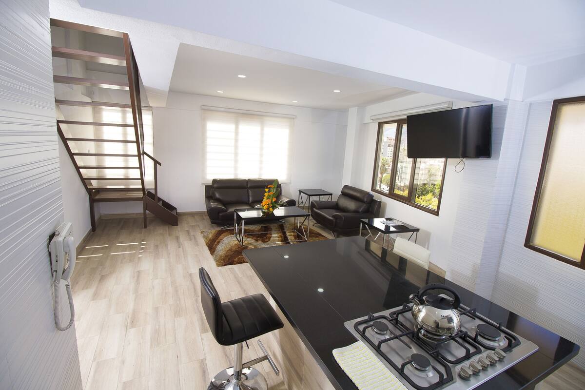 Basic Apartment, 1 King Bed | Private kitchenette
