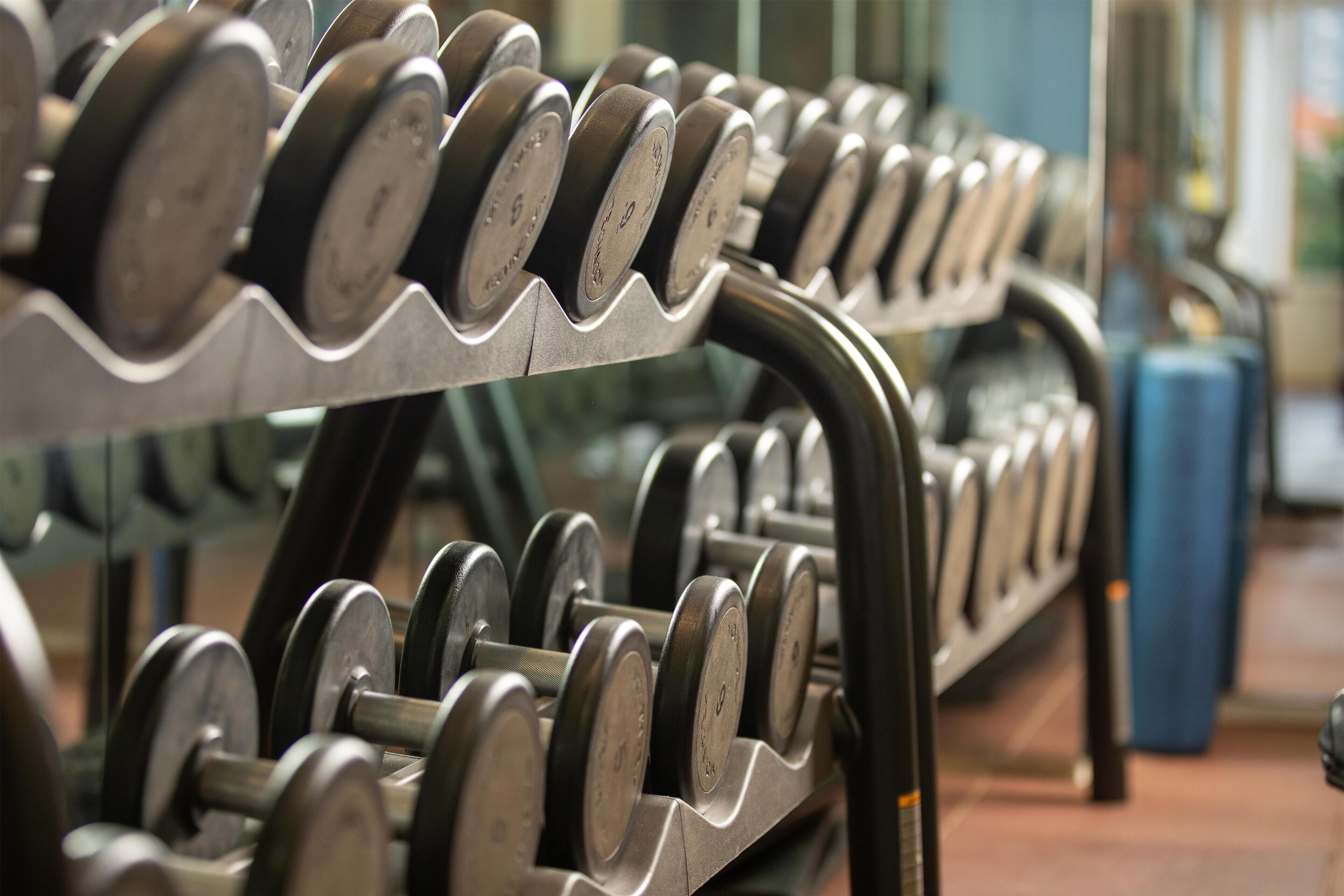 Un estante con mancuernas en un gimnasio.