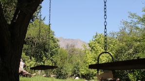 A swing set in a lush garden with a mountain in the background. - Cabañas El Algodonal (Nono)